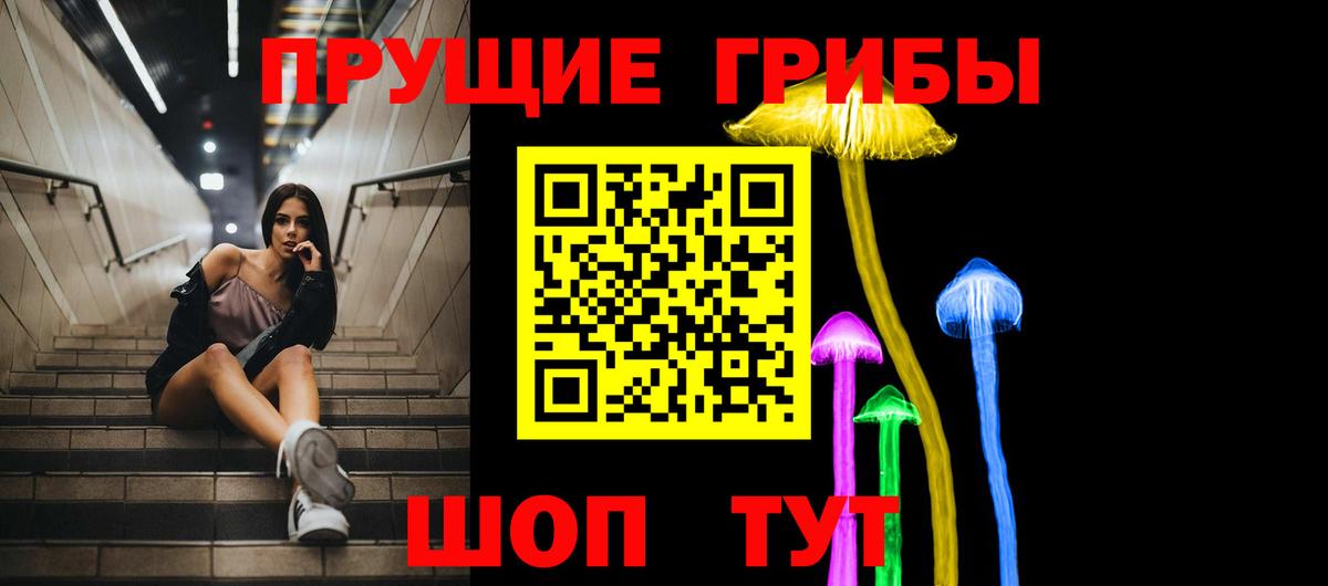 как найти наркотики  Вход с VPN  Белгород  Псилоцибиновые грибы GOLDEN TEACHER 
