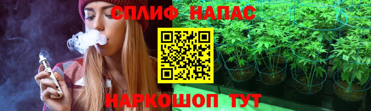 Марихуана сатива Белгород
